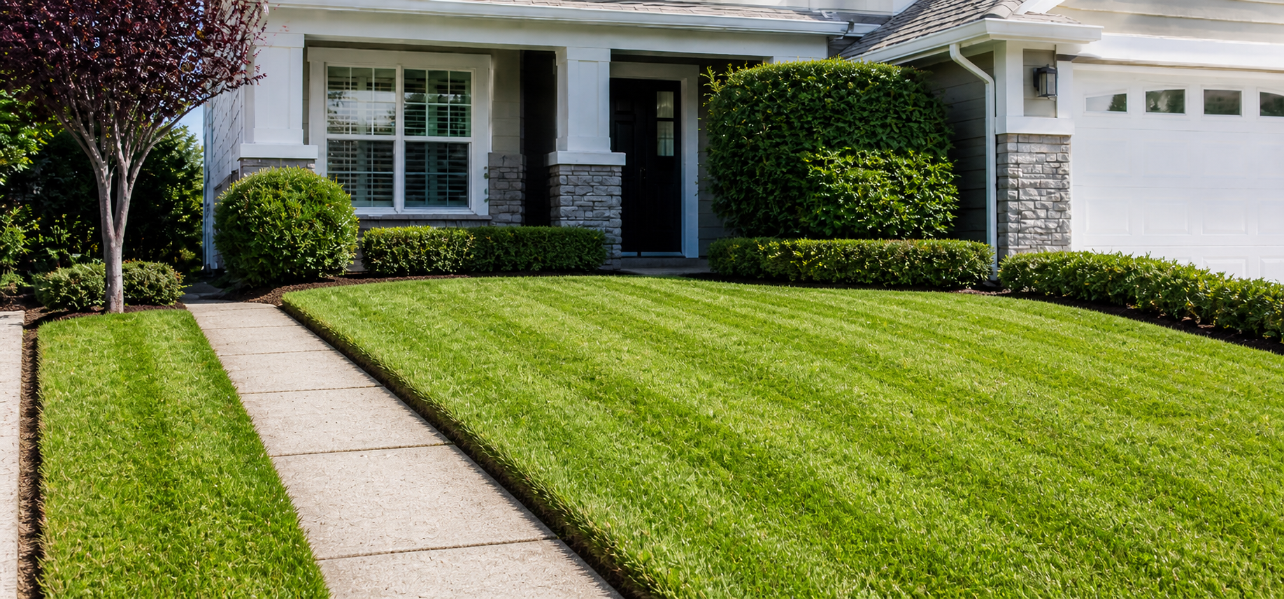 After — clean landscaped lawn